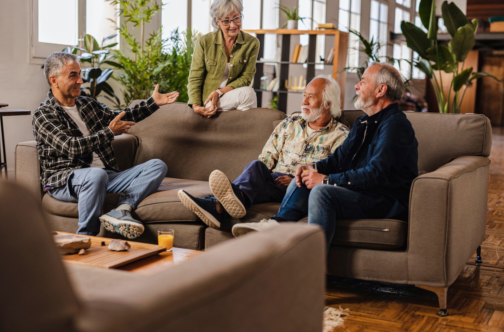 A small group of seniors talking in a living room