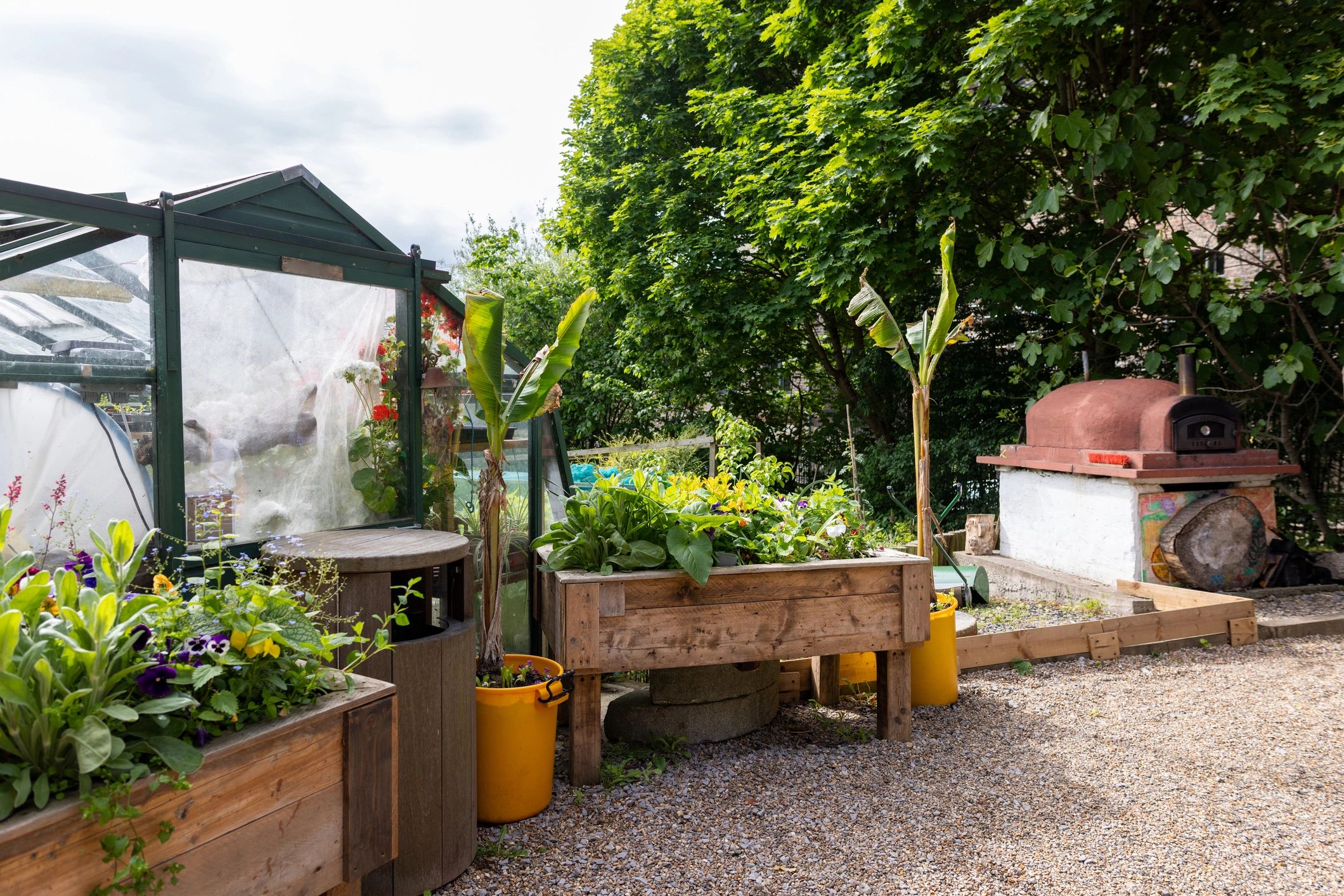Accessible garden with raised planters and greenhouse
