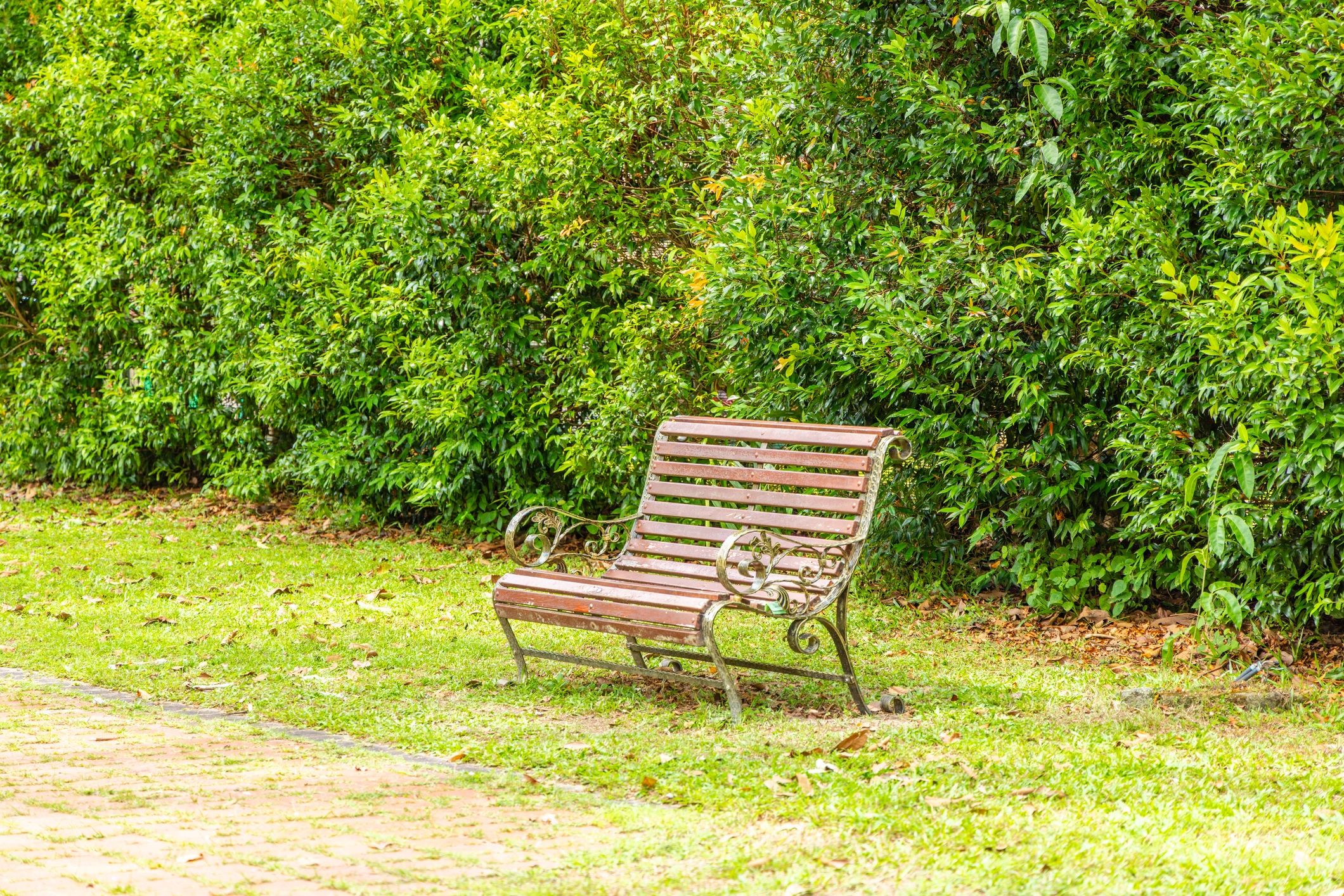 Peaceful garden seating area